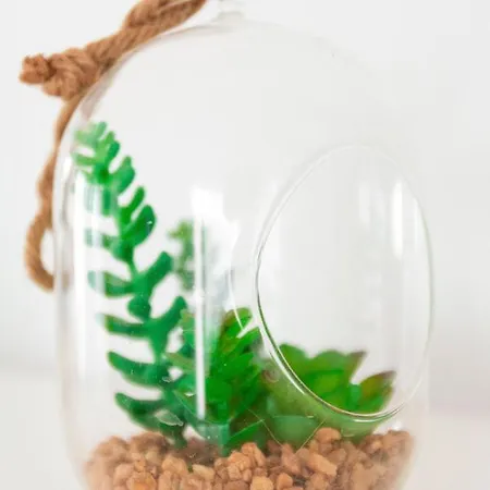 Casa Paca - Your Private Oasis In Lanzarote - Paradise By The Sea Holiday home Playa Blanca (Lanzarote)