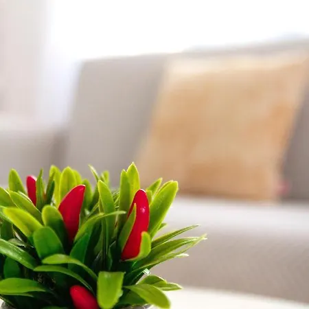 Holiday home Casa Paca - Your Private Oasis In Lanzarote - Paradise By The Sea Playa Blanca (Lanzarote)