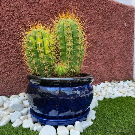 Holiday home Casa Paca - Your Private Oasis In Lanzarote - Paradise By The Sea Playa Blanca (Lanzarote)