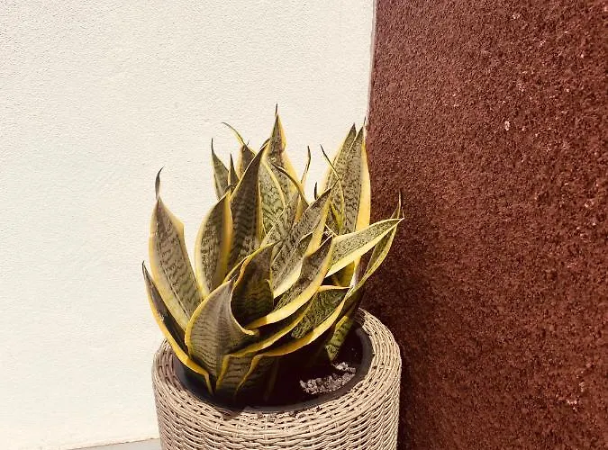 Casa Paca - Your Private Oasis In Lanzarote - Paradise By The Sea