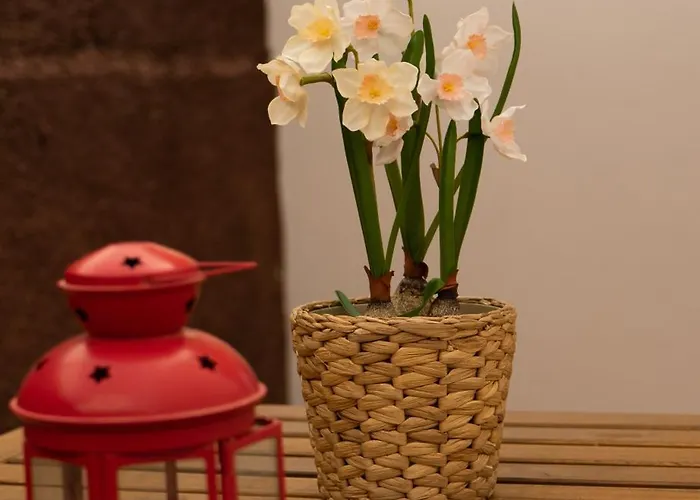 Casa Paca - Your Private Oasis In Lanzarote - Paradise By The Sea Holiday home