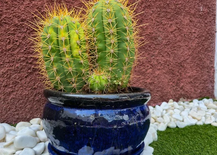 Holiday home Casa Paca - Your Private Oasis In Lanzarote - Paradise By The Sea Playa Blanca (Lanzarote)