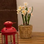 Casa Paca - Your Private Oasis In Lanzarote - Paradise By The Sea 度假居