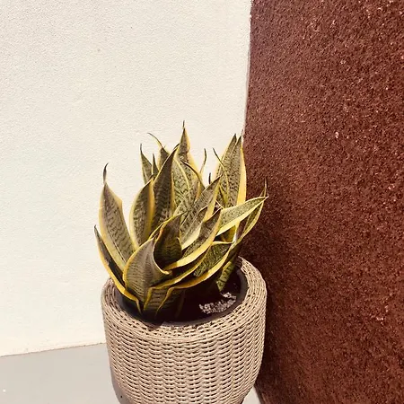 Casa Paca - Your Private Oasis In Lanzarote - Paradise By The Sea