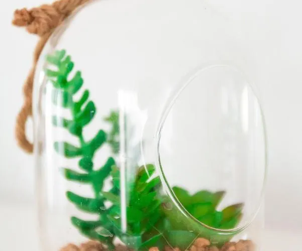 Casa Paca - Your Private Oasis In Lanzarote - Paradise By The Sea Feriehus Playa Blanca (Lanzarote)