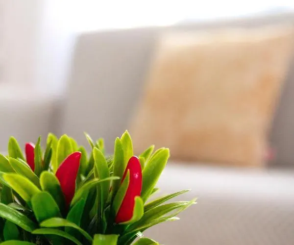 Feriehus Casa Paca - Your Private Oasis In Lanzarote - Paradise By The Sea Playa Blanca (Lanzarote)