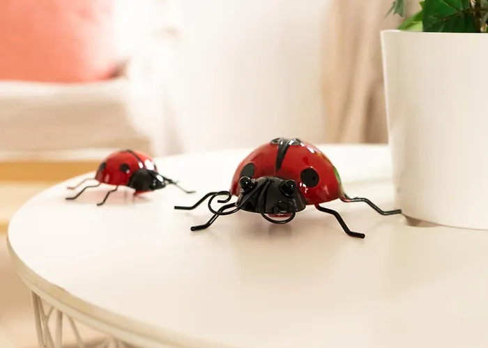 Casa Paca - Your Private Oasis In Lanzarote - Paradise By The Sea