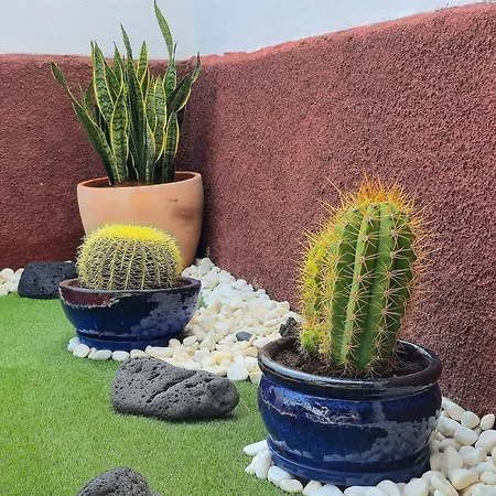 Casa Paca - Your Private Oasis In Lanzarote - Paradise By The Sea Πλάγια Μπλάνκα